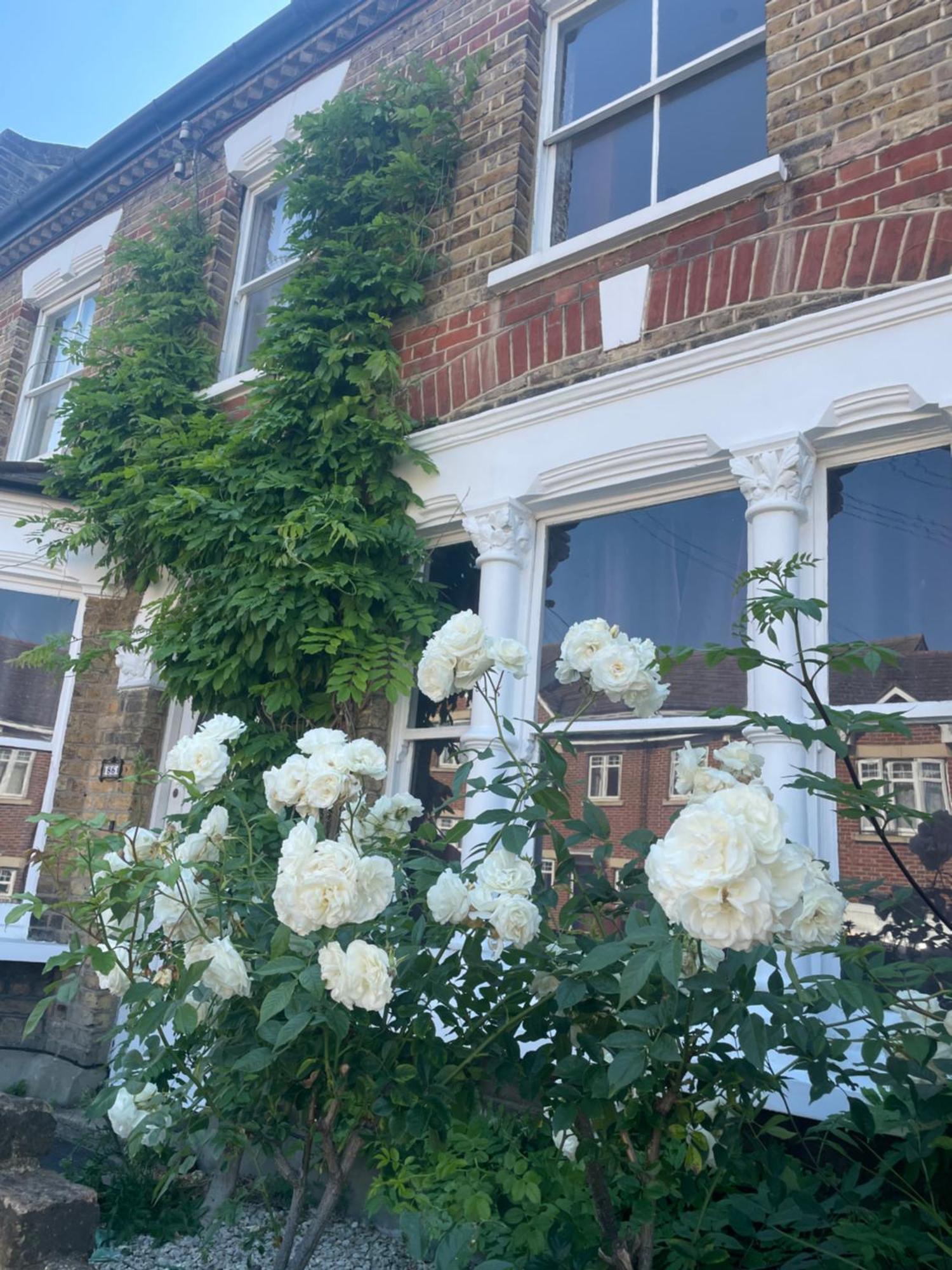 Traditional English 4 Bedroom Home In Greenwich Plumstead  Luaran gambar